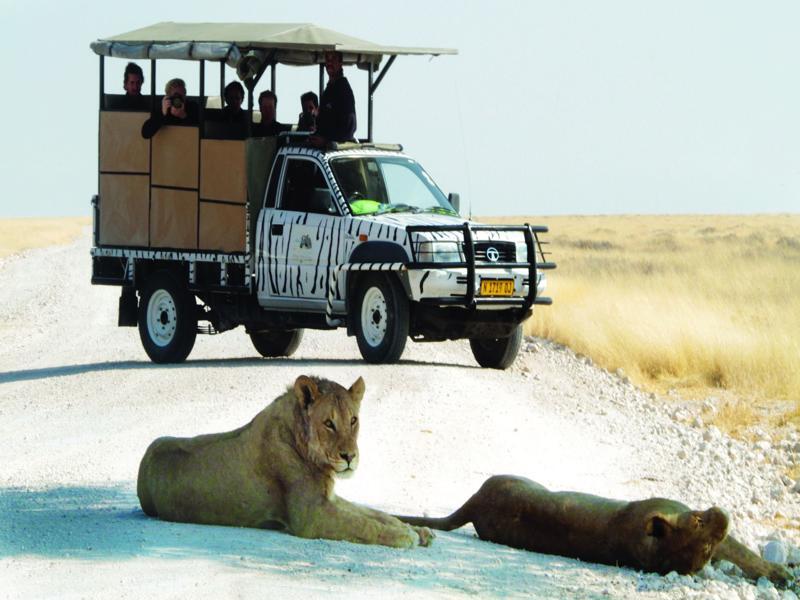 Willa Gondwana Etosha Safari Camp Okaukuejo Zewnętrze zdjęcie